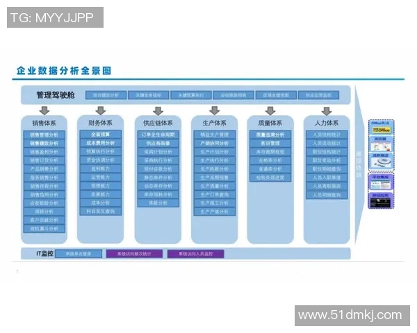 数据分析WE的技术表现及其对业务决策的影响与应用探讨
